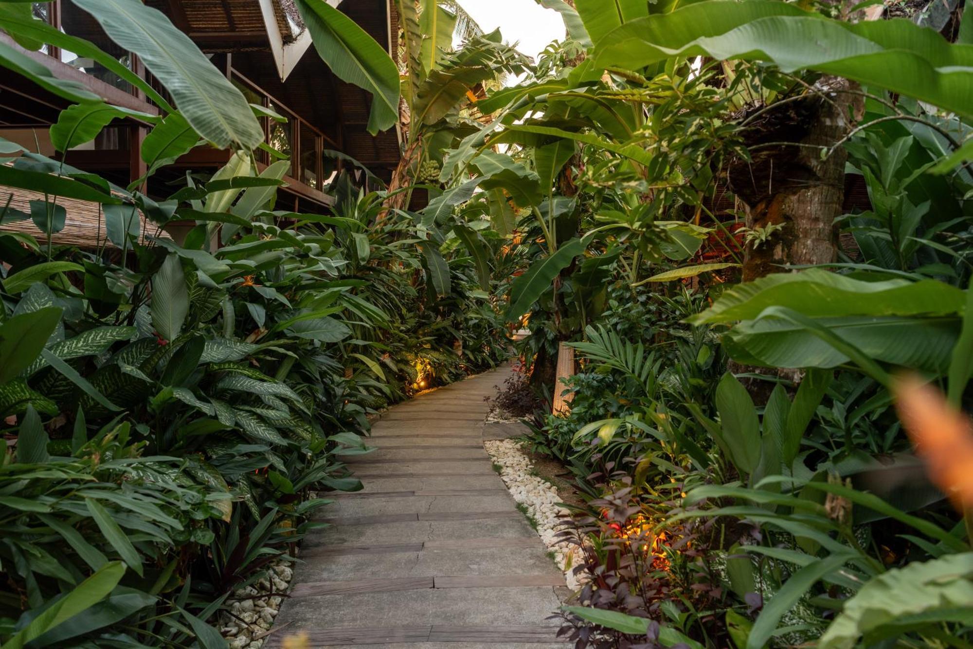 The Hillside Resort Siargao General Luna  Exterior foto